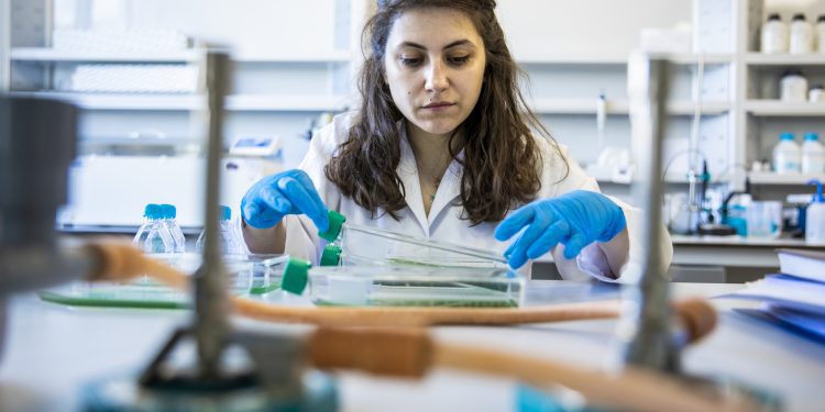 নারীদের স্টেম বিষয়ে ক্যারিয়ার গড়তে সহায়তায় ব্রিটিশ কাউন্সিলের বৃত্তি প্রকল্প