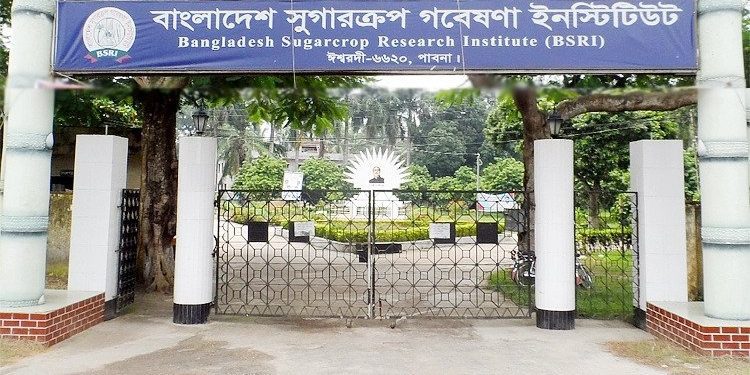 বাংলাদেশ সুগারক্রপ গবেষণা ইনস্টিটিউটের ৯ পদের লিখিত পরীক্ষার ফল প্রকাশ
