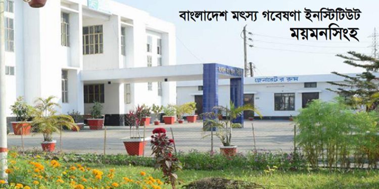 বাংলাদেশ মৎস্য গবেষণা ইনস্টিটিউটের ৭পদের মৌখিক পরীক্ষার সময়সূচি প্রকাশ