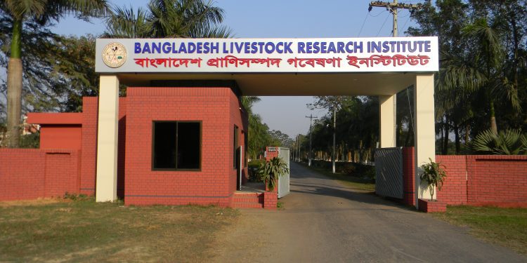 ২২ জনকে নিয়োগে বিজ্ঞপ্তি প্রকাশ বাংলাদেশ প্রাণিসম্পদ গবেষণা ইনস্টিটিউট, আবেদন শুরু ২১ সেপ্টেম্বর