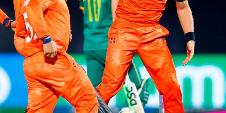 বিশ্বকাপে নেদারল্যান্ডসের অবিশ্বাস্য জয়