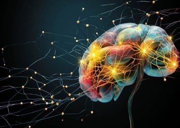 মানব মস্তিষ্কের ‘মানচিত্র’ তৈরি করলেন এক দল বিজ্ঞানী