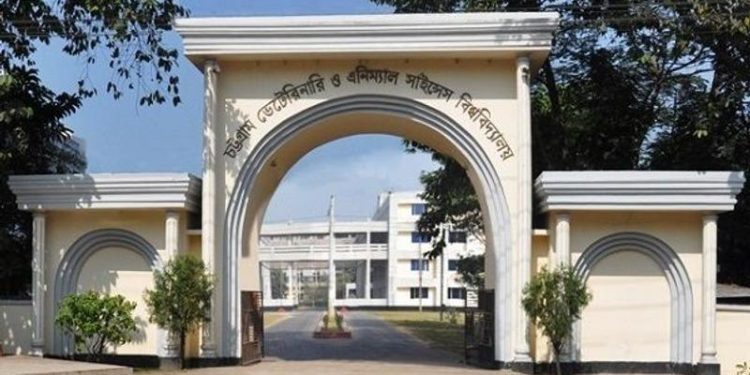 ৪৭ পদে জনবল নিচ্ছে চট্টগ্রাম ভেটেরিনারি ও এনিম্যাল সাইন্সেস বিশ্ববিদ্যালয়