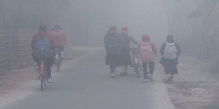 স্কুল বন্ধ ঘোষণা