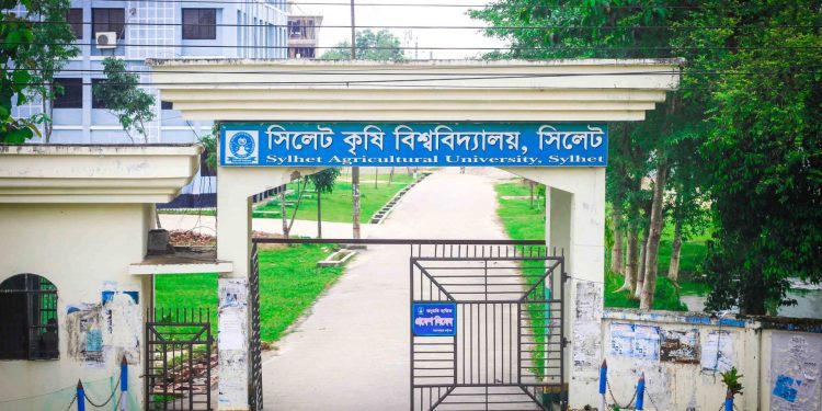 কৃষি বিশ্ববিদ্যালয়