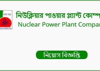 নিউক্লিয়ার পাওয়ার প্ল্যান্ট