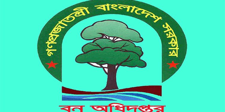 ফরেস্টার পদে ৭৮ জন নেবে বন অধিদপ্তর