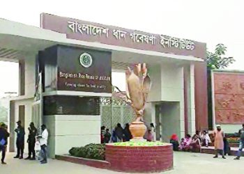 জনবল নিচ্ছে ধান গবেষণা ইনস্টিটিউট, পদ ৩২, আবেদন অনলাইনে