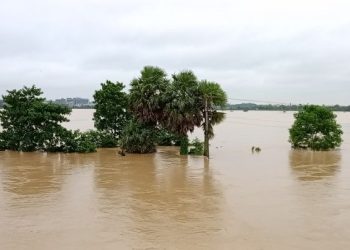 বন্যায় ক্ষতিগ্রস্ত লোকসংখ্যা ৪৪ লাখ ৯৭ হাজার ৫৩৫ জন, প্লাবিত ১১ জেলা