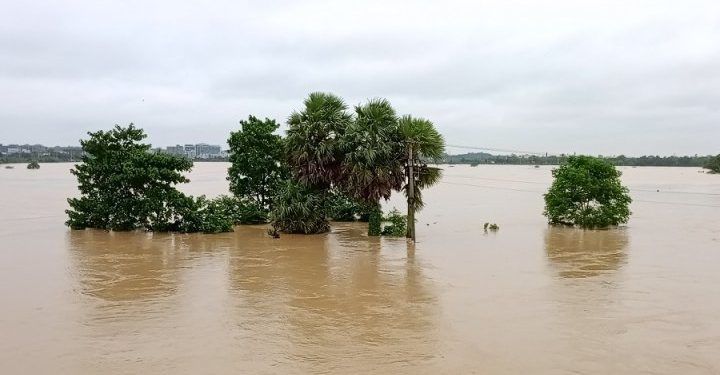 বন্যায় ক্ষতিগ্রস্ত লোকসংখ্যা ৪৪ লাখ ৯৭ হাজার ৫৩৫ জন, প্লাবিত ১১ জেলা