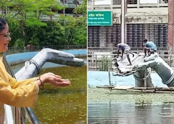 ‘অঞ্জলি লহ মোর’ ভাংগবেনা বরং সংস্কারের পর মূল ডিজাইনে ফিরবে- উপাচার্য