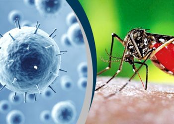 ডেঙ্গু ও করোনা প্রতিরোধে শিক্ষাপ্রতিষ্ঠানের জন্য মাউশির নতুন নির্দেশনা