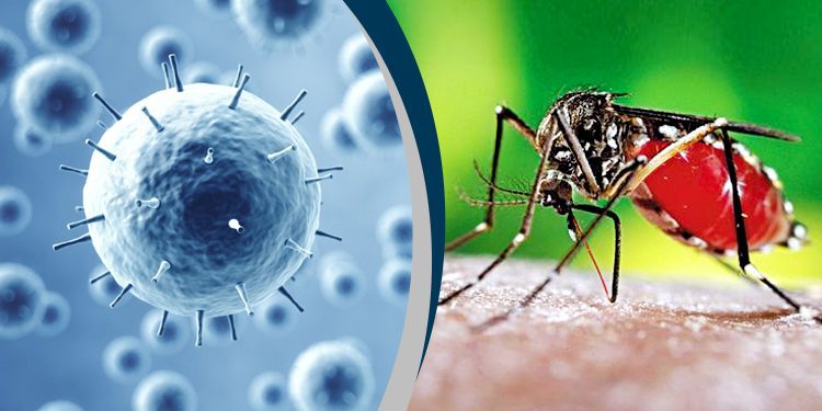 ডেঙ্গু ও করোনা প্রতিরোধে শিক্ষাপ্রতিষ্ঠানের জন্য মাউশির নতুন নির্দেশনা