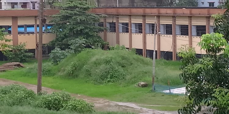 সরকারি কলেজ ক্যাম্পাস এখন মশার প্রজনন কেন্দ্র! ঝুঁকিপূর্ণ পরিবেশে শিক্ষক-শিক্ষার্থী !! চাই জরুরি ভবন নির্মাণ !!!